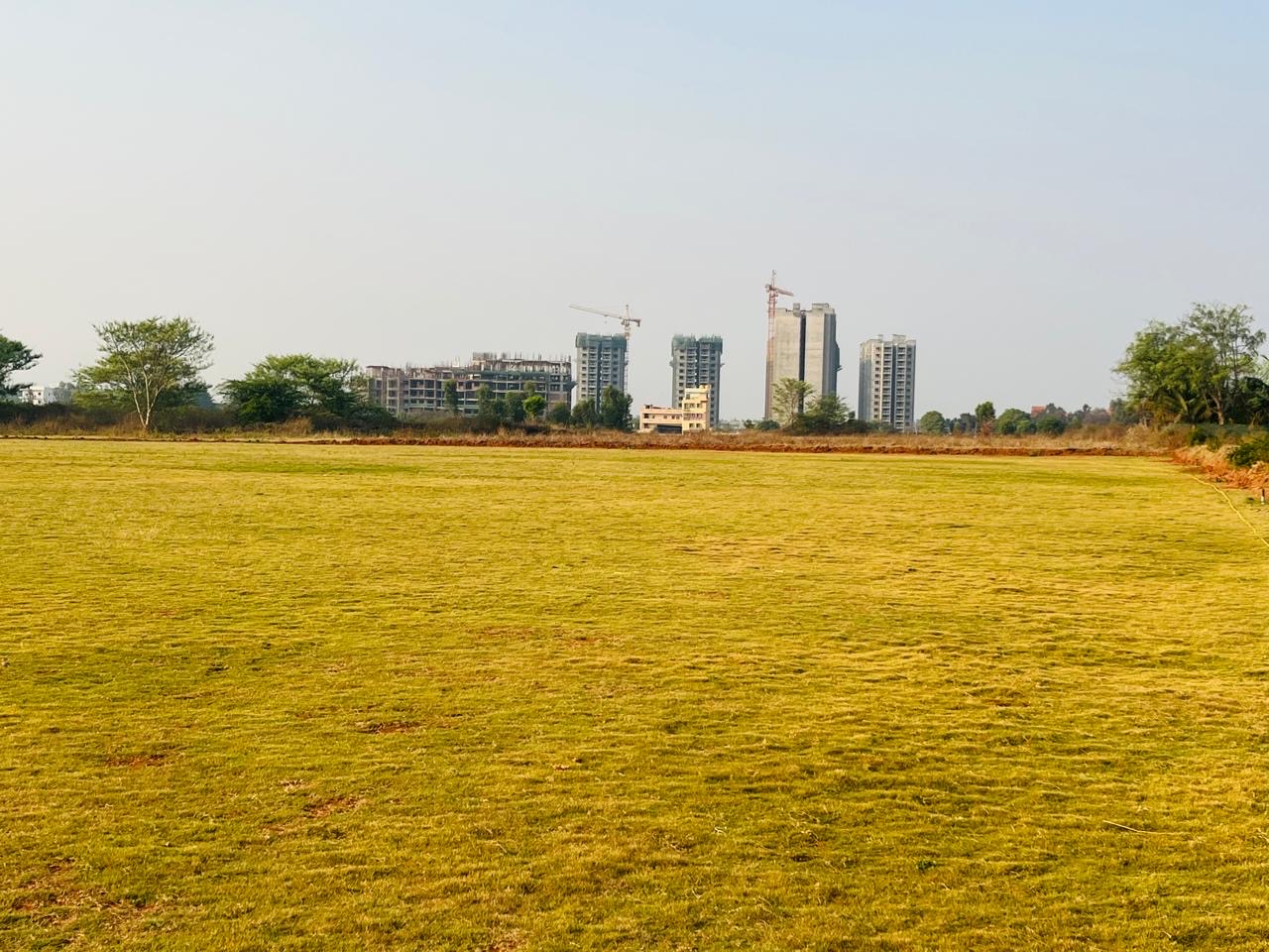 NCA Greenfield